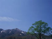 tkf003_550577