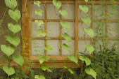 tkf003_551251