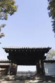 tkf003_552648