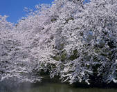 tkf003_554627
