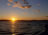 tkf003_557601