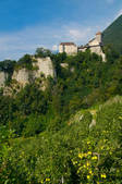 tkf003_560993