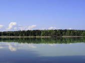 tkf003_564411