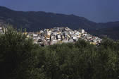 tkf003_564478