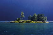 tkf003_564480