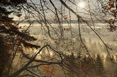 tkf003_565262