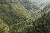 tkf003_565305