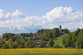 tkf003_565439
