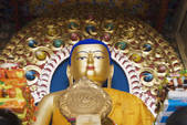 tkf003_596563