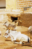 tkf003_626229