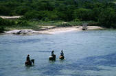 tkf003_639823