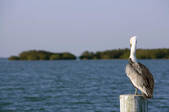 tkf003_657655