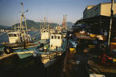tkf003_658553