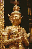 tkf003_658795