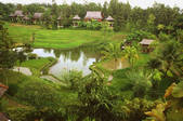 tkf003_659089