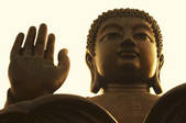 tkf003_665905