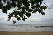 tkf003_666131