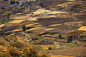 tkf003_666245