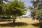 tkf003_674181