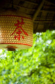 tkf003_677287
