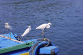 tkf003_677305