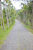 tkf003_677440