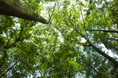 tkf003_677441