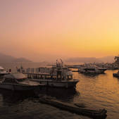 tkf003_679464
