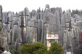 tkf003_683977