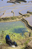 tkf003_684018
