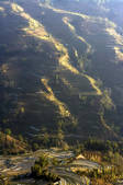 tkf003_684104