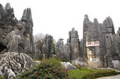 tkf003_684117