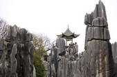 tkf003_684129