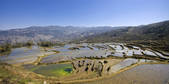 tkf003_684131