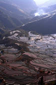 tkf003_684149