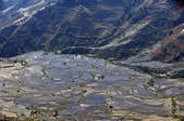 tkf003_684155