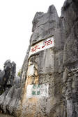 tkf003_684283