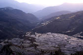 tkf003_684382