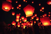 tkf003_686125