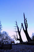 tkf003_686637