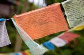 tkf003_687746