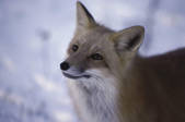 tkf003_711996
