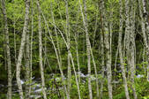 tkf003_713357