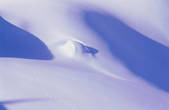 tkf003_717374