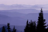 tkf003_718769