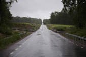 tkf003_807495
