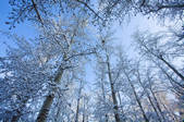 tkf003_959198