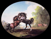 tkm001_177026