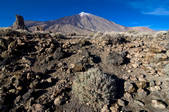 tkm001_467082