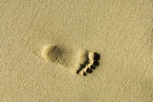 tkm001_475152